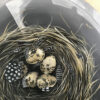 Sanctuary an acrylic painting of a nest with feathers and five eggs by Lindsey Jaeger.