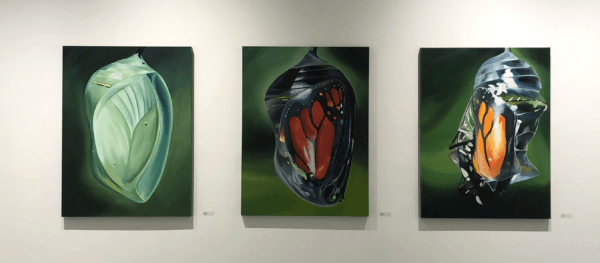 three stages of monarch chrysalis acrylic painting on canvas by LinZ Kiser
