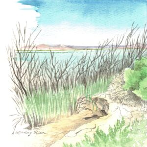 Watercolor painting of Stillwater Wildlife Refuge, Fallon, Nevada by Lindsey Kiser