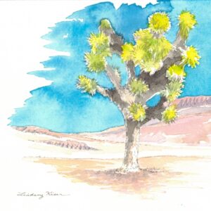 Watercolor painting of a Joshua Tree by Lindsey Kiser