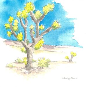watercolor painting of a joshua tree by Lindsey Kiser