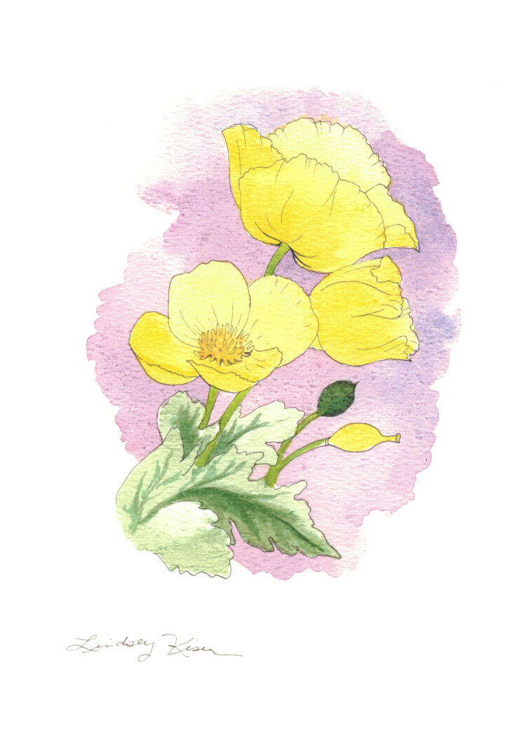 Paint & Sip Watercolor Birth Flowers - Image 18