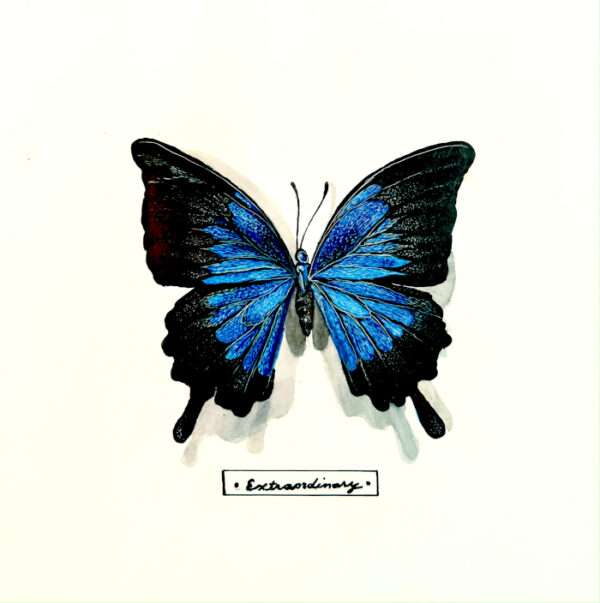 "Extraordinary" is an image of Lindsey Kiser's artwork showing a vibrant blue and black butterfly with wings outstretched against a white background, as if on display in an insect collection.