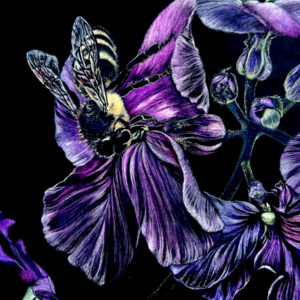 Kentucky Artist Lindsey Kiser created this artwork of a bee pollinating purple blooms.