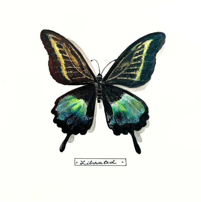 "Liberated" is an original work of art in ink on clay by Lindsey Kiser. It shows a green, gold and black butterfly on a white background with an insect label that says "Liberated".
