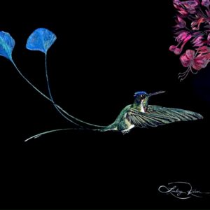 Image of a colorful hummingbird on a black background. Artwork by Lindsey Kiser.