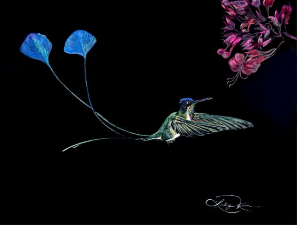 Image of a colorful hummingbird on a black background. Artwork by Lindsey Kiser.
