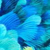 Blue hummingbird feathers under a microscope appear as abstract of nonobjective art by Lindsey Kiser.