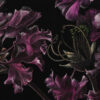 Resplendence - Image 3