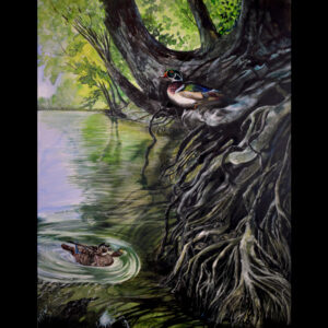 Artwork by Wildlife Artist Lindsey Kiser of a family of wood ducks on the roots of a tree on the bank of the Kentucky River.