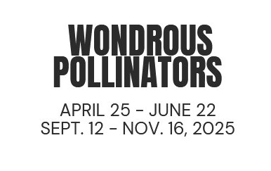 2025 Headley Whitney Museum Lindsey Kiser Exhibition Show Dates Lindsey Kiser - Wondrous Pollinators Art Exhibition at the Headley Whitney Museum from April 25 to June 22 and September 12 to November 16, 2025