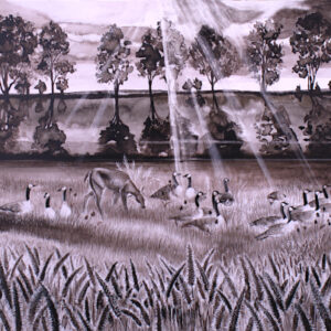 An image of a sepia-toned artwork measuring 12" x 36". It is a scene of canada geese with whitetail foraging in the same field near a pond with rays of sunshine bursting through the treeline above the pond. The artwork is entitled "Common Ground" and was made by award-winning wildlife artist Lindsey Kiser.