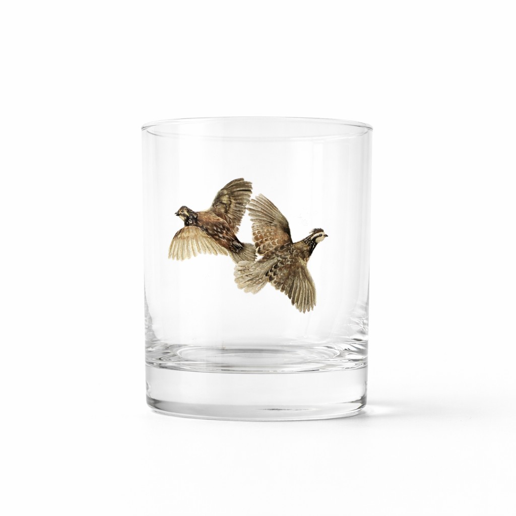 Image of a Ruffed Grouse rendered in scratchboard by Nature Artist Lindsey Kiser.