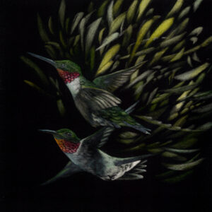 Two ruby throated hummingbirds are flying neck and neck showing off their metallic red throats.