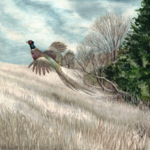 The image is of an artwork by Lindsey Kiser showing a pheasant flushing to the left and uphill over a field of native grasses in autumn. The sky is turbulent and the trees have lost their leaves.