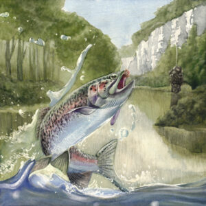 The image is of an artwork by Wildlife Artist Lindsey Kiser of a jumping rainbow trout is caught on a fly by a fly-fisherman on a river below palisades.